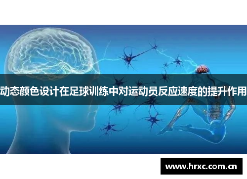 动态颜色设计在足球训练中对运动员反应速度的提升作用